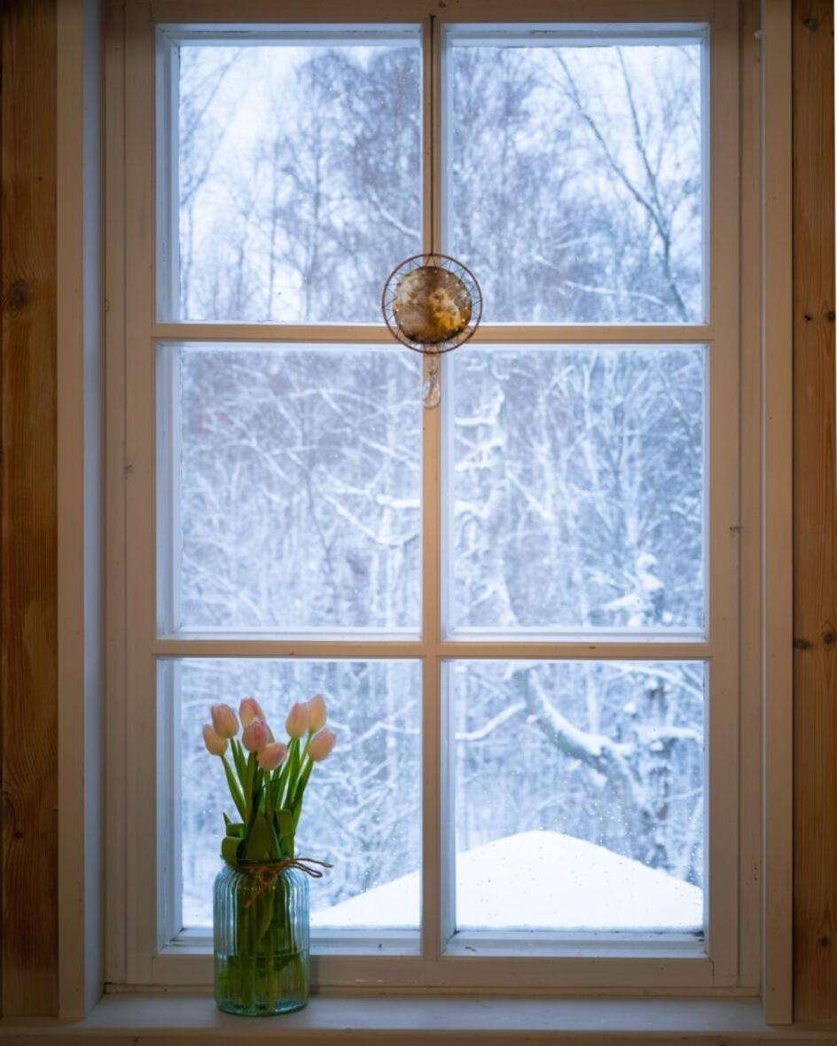 Kolin Mattila B&B Kolinkylä Eksteriør bilde