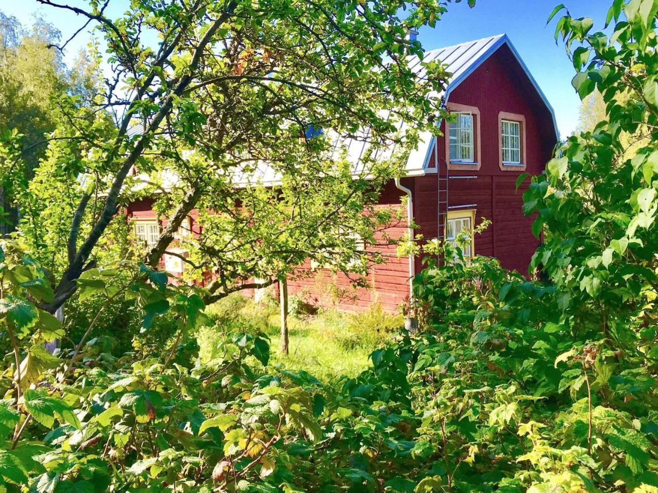 Kolin Mattila B&B Kolinkylä Eksteriør bilde