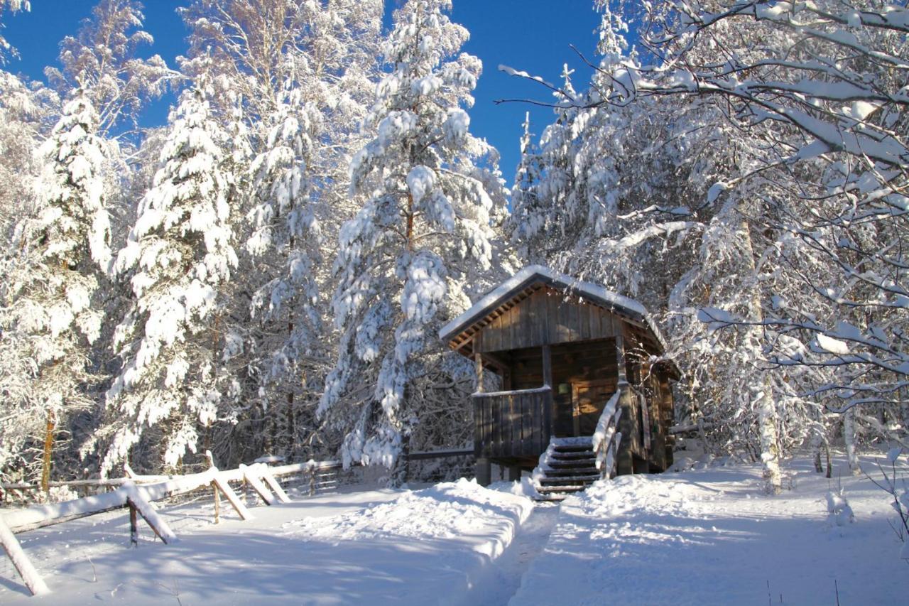 Kolin Mattila B&B Kolinkylä Eksteriør bilde